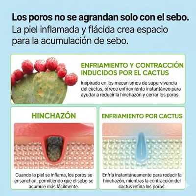 Plenia Cactox™ - Multi Bálsamo reductor de Poros