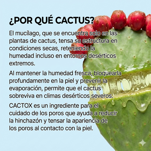 Plenia Cactox™ - Multi Bálsamo reductor de Poros